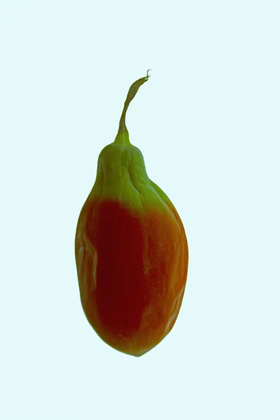 Matang Coccinia grandis, Ivy gourd, Cucurbitaceae — Stok Foto