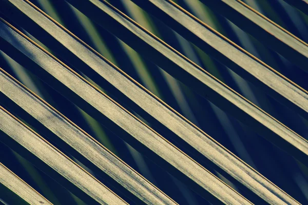 Grüne Kokosblattmuster — Stockfoto