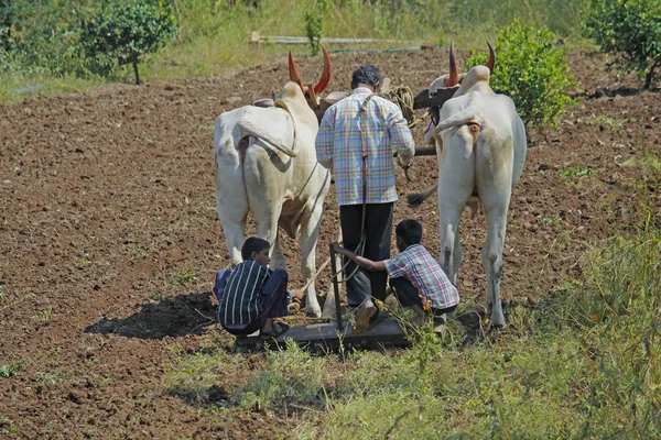 Çiftçi sürme alan