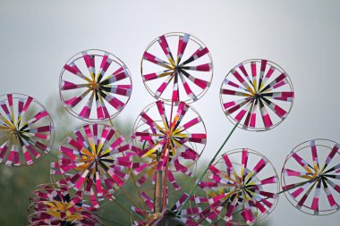renkli pinwheels