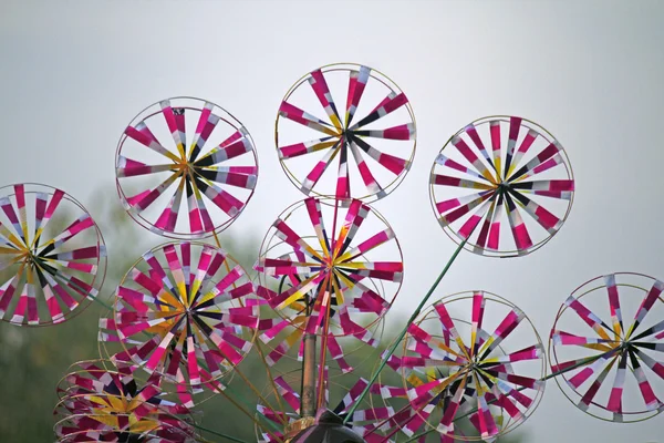 Barevné pinwheels — Stock fotografie