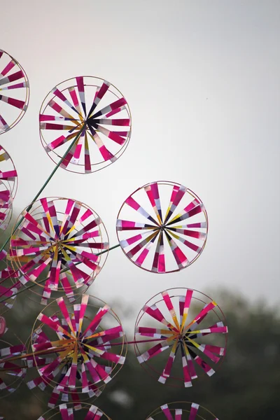 Barevné pinwheels — Stock fotografie