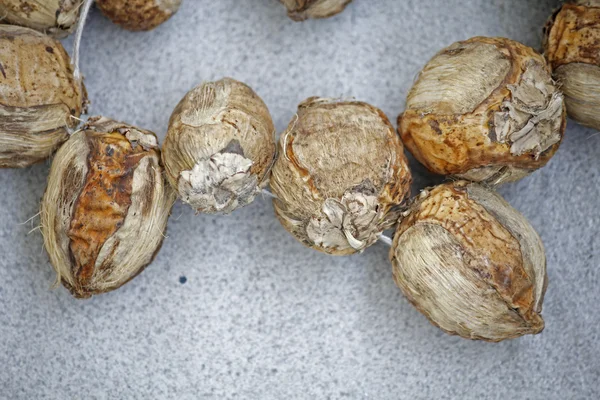 Ripe areca nuts — Stock Photo, Image