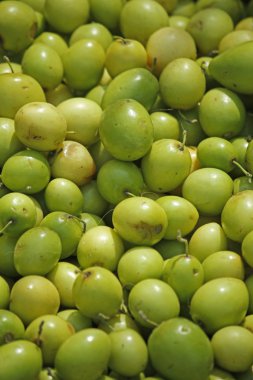 Ziziphus jujuba satmak için