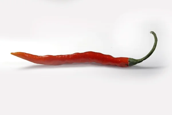 Chili paprika, piros chili — Stock Fotó