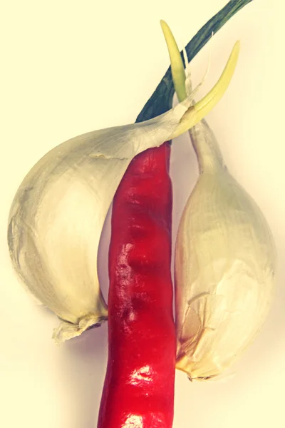 Растёт лук сативум, чеснок с перцем чили, красный чили — стоковое фото