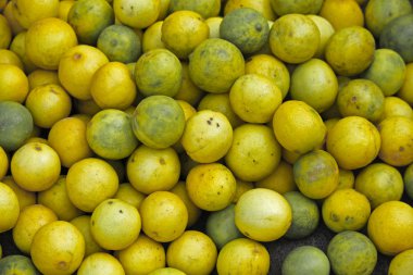 Limon, C. limon piyasasında için satmak