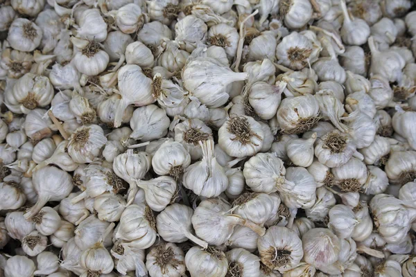 Allium sativum, aglio sul mercato per la vendita — Foto Stock