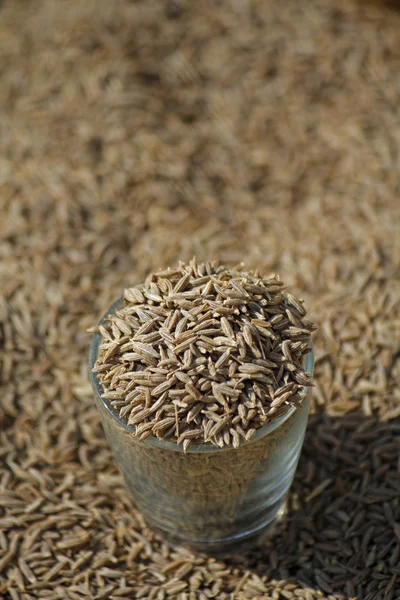 Cumin, the fruits of Cuminium cyminum at marketplace for sell — Stock Photo, Image