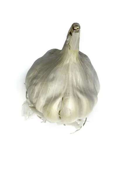 Allium sativum, bawang putih — Stok Foto