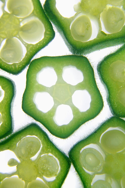 Сечение Abelmoschus esculentus, Lady Finger
