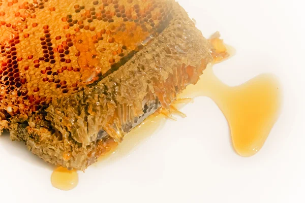 Miel goutte à goutte de nid d'abeille — Photo