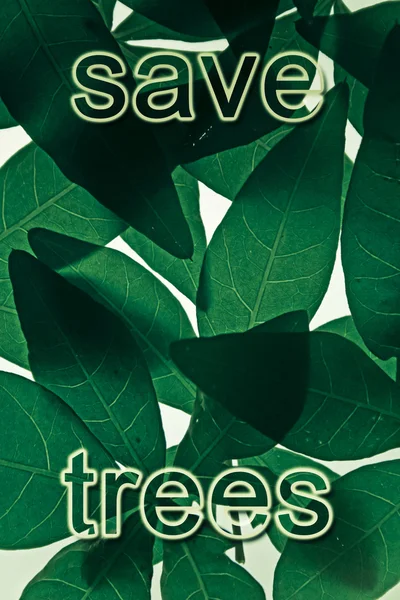 Spara träd, spara naturen koncept — Stockfoto