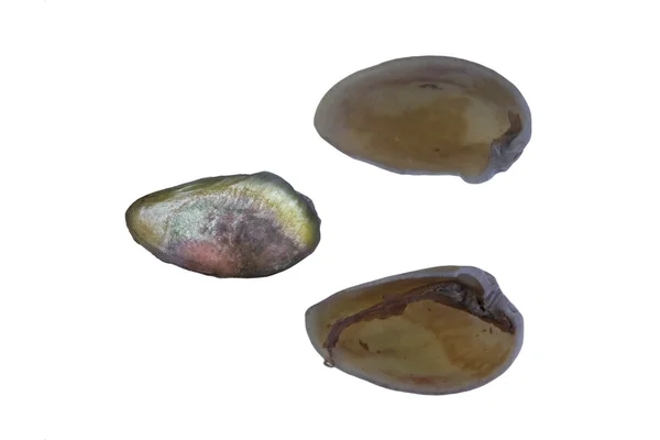 Roasted pistachio seed with shell — Stock Photo, Image