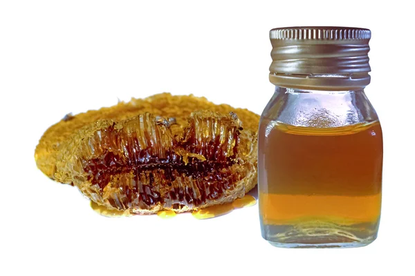 Honeycomb and honey in Bottle — Stock Photo, Image