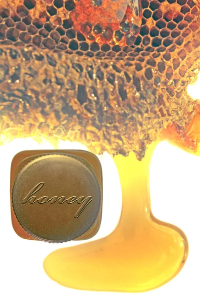 Honingraat en honing in de fles — Stockfoto