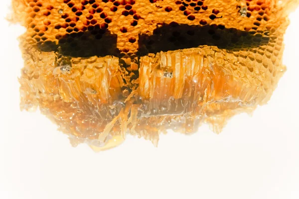 Miel goutte à goutte de nid d'abeille — Photo