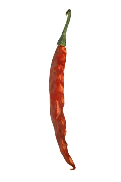 Pimenta, pimentão vermelho — Fotografia de Stock