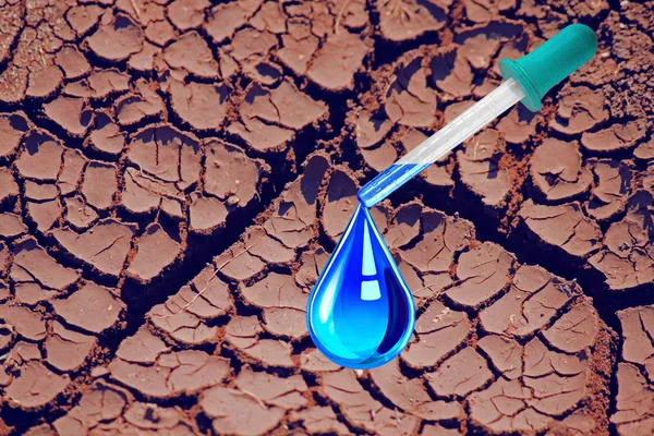 Cracked land, Save water, Save Earth Concept, Conceptual image — Stock Photo, Image