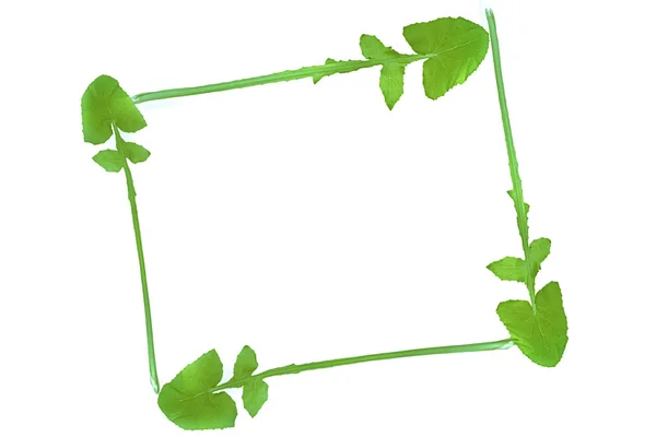 Frame gemaakt van Wintercress (Barbarea vulgaris) verlaat — Stockfoto