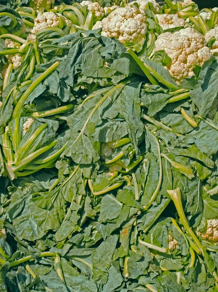 Цветная капуста, Brassica oleracea var. botrytis, на рынке — стоковое фото