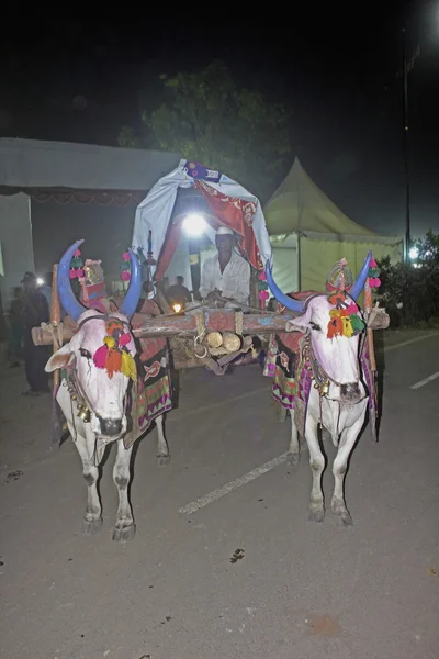 Carro de buey decorativo, India — Foto de Stock