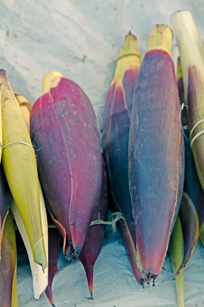 Banan blommor, Musa x paradisiaca på marknaden — Stockfoto