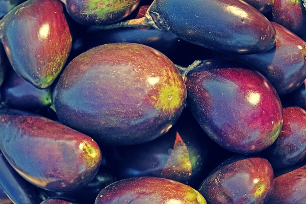 Brinjals, Egyptant, Solanum melongena — стоковое фото