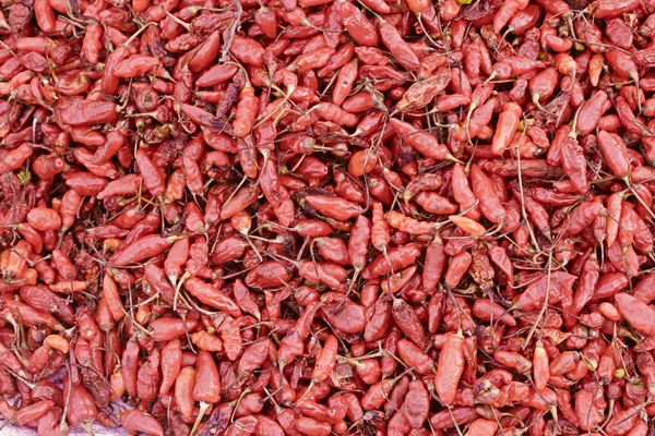 Wild paprika Stock Photos, Royalty Free Wild paprika Images Depositphotos