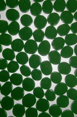 Bezelye, balık sativum var. macrocarpon