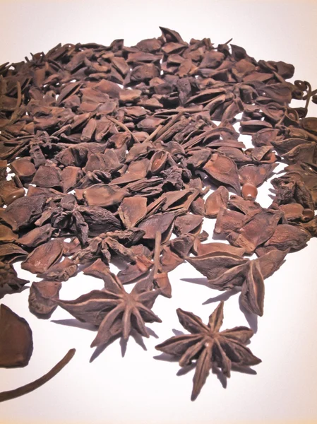 Anis estrelado, Illicium verum Hooker fil., Illiciaceae — Fotografia de Stock