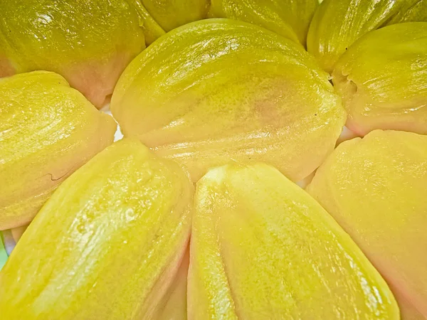 Jackfruit, Artocarpus heterophyllus Lam — Stock fotografie