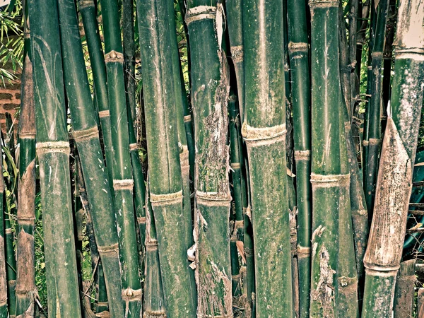 Naturliga bambupinnar. — Stockfoto