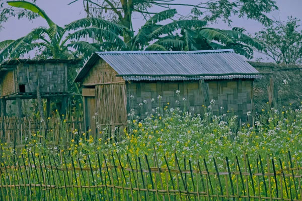 Tribes House Arunachal Pradesh Hindistan — Stok fotoğraf