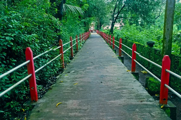 Garden Pathway Mellan Metall Barrikad — Stockfoto