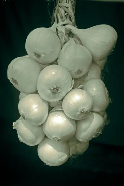 市場で販売のための白玉ねぎ マハラシュトラ インド — ストック写真