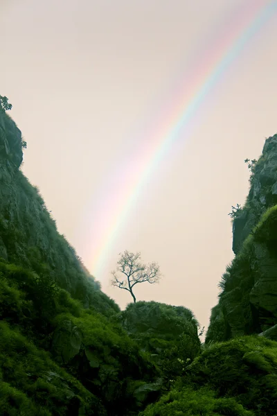 Arco Iris Durante Monzón Varadha Ghat Maharashtra India —  Fotos de Stock