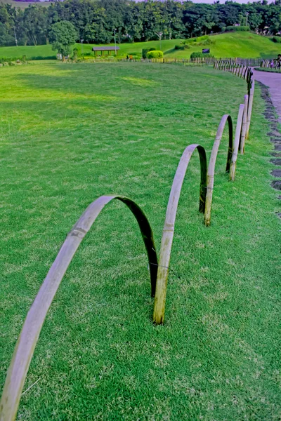 Jardim Japonês Cidade Pune Maharashtra Índia — Fotografia de Stock