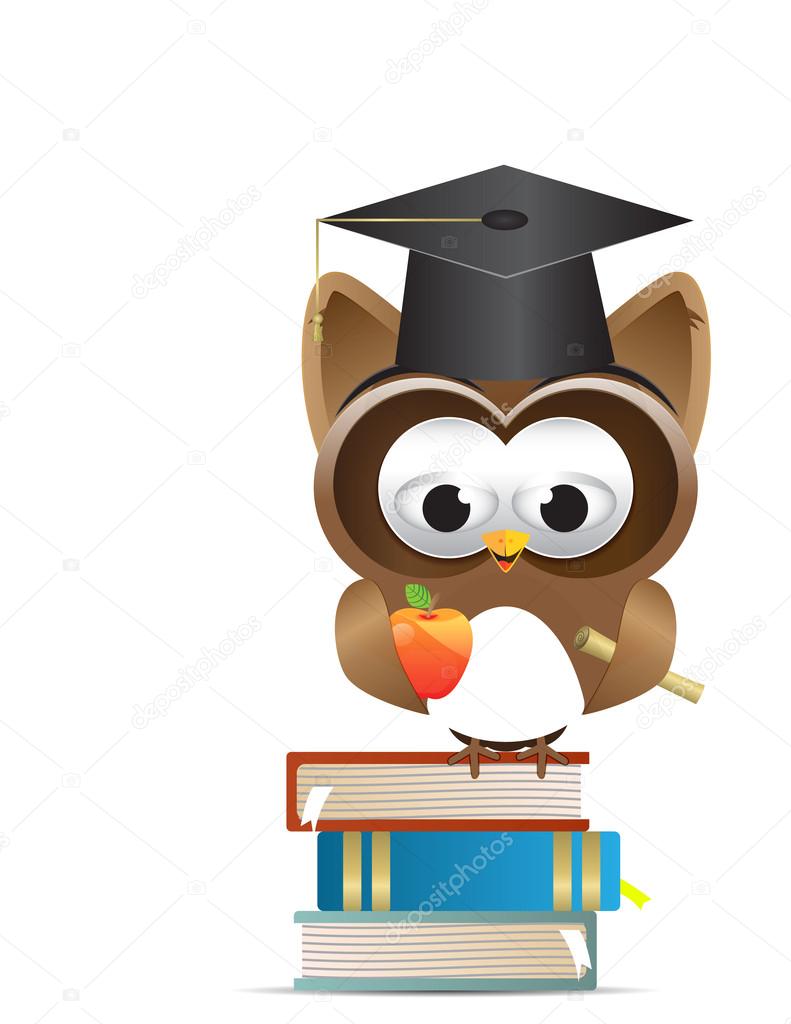 Owl and graduation cap and apple