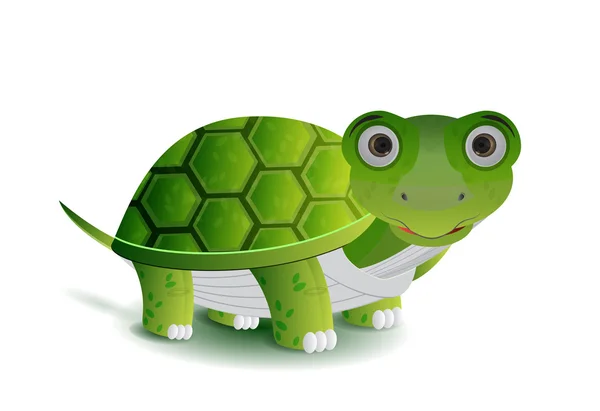 Illustrazione tartaruga verde — Vettoriale Stock