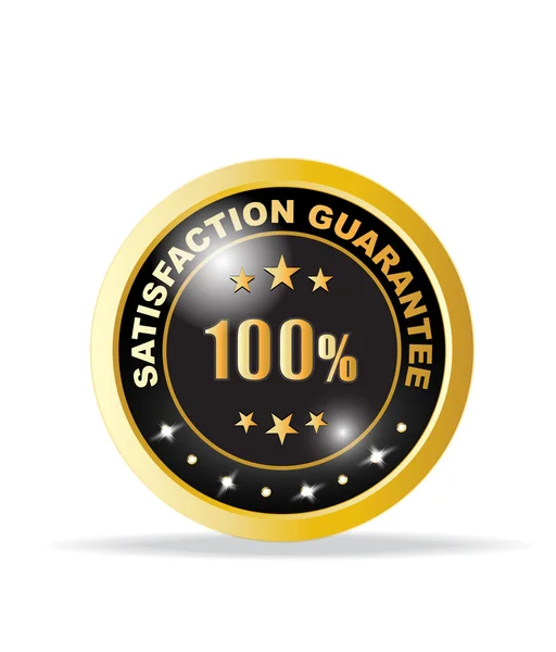 100 percent guarantee icon — Stock Vector