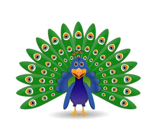 Peacock illustratie geïsoleerd — Stockvector