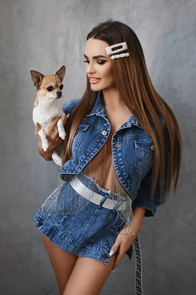 Sexy junge Frau in Jeansrock und aufgeknöpfter Jacke auf nacktem Körper, hält einen kleinen Hund und posiert vor dem grauen Hintergrund. Sexy Model Girl mit perfektem Körper posiert mit Chihuahua — Stockfoto