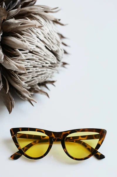 Óculos de sol de tartaruga vintage com lentes amarelas no fundo branco. Foto publicitária de óculos de plástico vintage. Conceito óptico de moda. Óculos retro no fundo branco — Fotografia de Stock