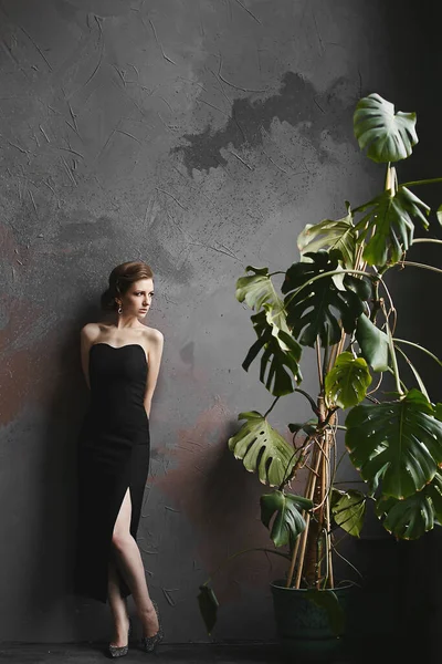 Mujer joven con maquillaje de noche brillante en un vestido negro posando cerca de la enorme planta. Una modelo de chica con un peinado elegante con un vestido de moda posando en el interior oscuro — Foto de Stock