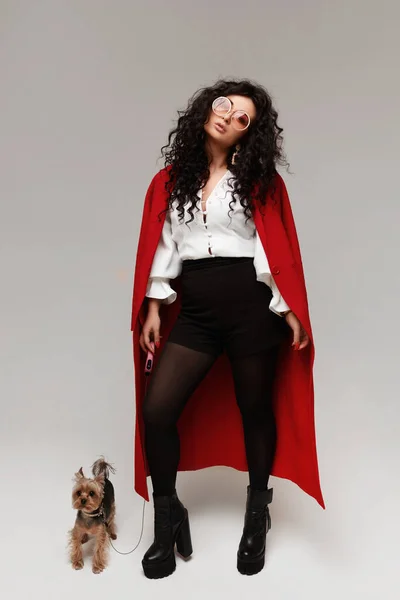 Menina modelo glamourosa em um casaco vermelho na moda e óculos de sol na moda posando com bonito Yorkshire terrier sobre fundo branco, isolado estúdio retrato de moda — Fotografia de Stock