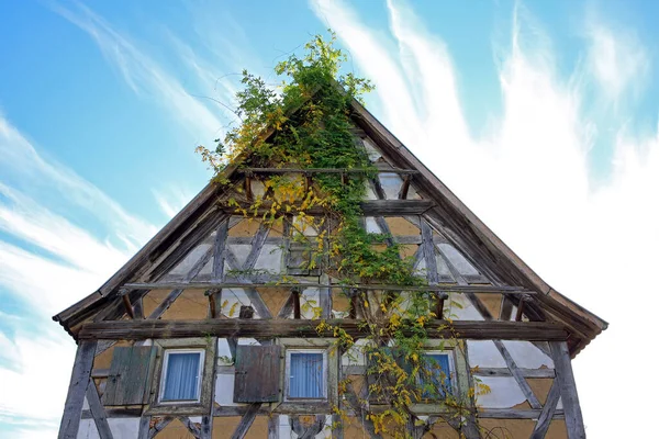 Old Overgrown Half Timbered House — Stock Photo, Image
