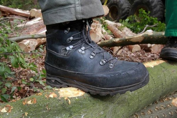 Werkschoenen Schoenen Close — Stockfoto