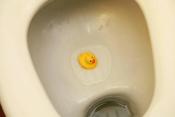 Желтая Резиновая Утка Туалете — стоковое фото