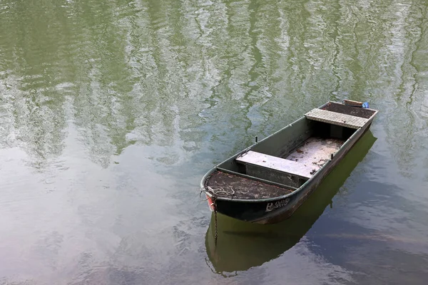 Маленькая Лодка Старом Носороге — стоковое фото